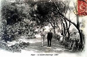 Alger - Jardin Marengo - 1907  